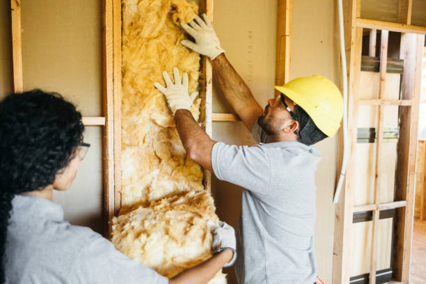 Insulation Contractors for Homes in Hackleburg, AL