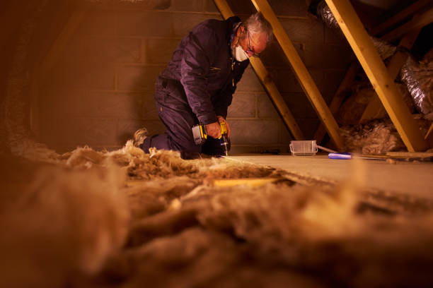 Best Garage Insulation Installation  in Hackleburg, AL